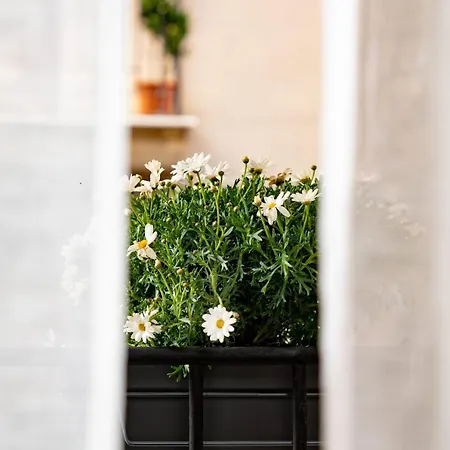 Casa Gagini-2